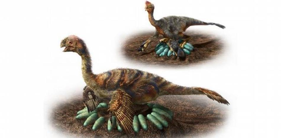 Ilustración de nidada de ovirraptosaurio