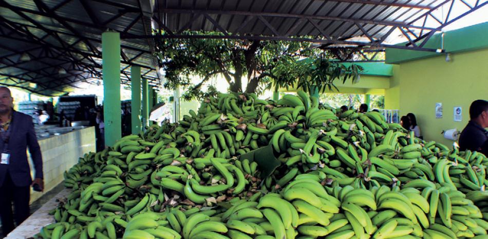 Mercado. País es el principal suplidor de banano orgánico en el mundo.