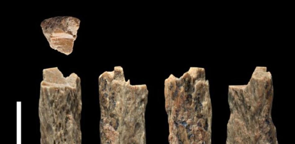 Imagen tomada el 14 de junio de 2015 del fragmento de hueso de "Denny" encontrado en 2012 por arqueólogos rusos en la cueva Denisova, en Siberia, Rusia © UNIVERSITY OF OXFORD/Max Planck Institute/AFP Ian Cartwright