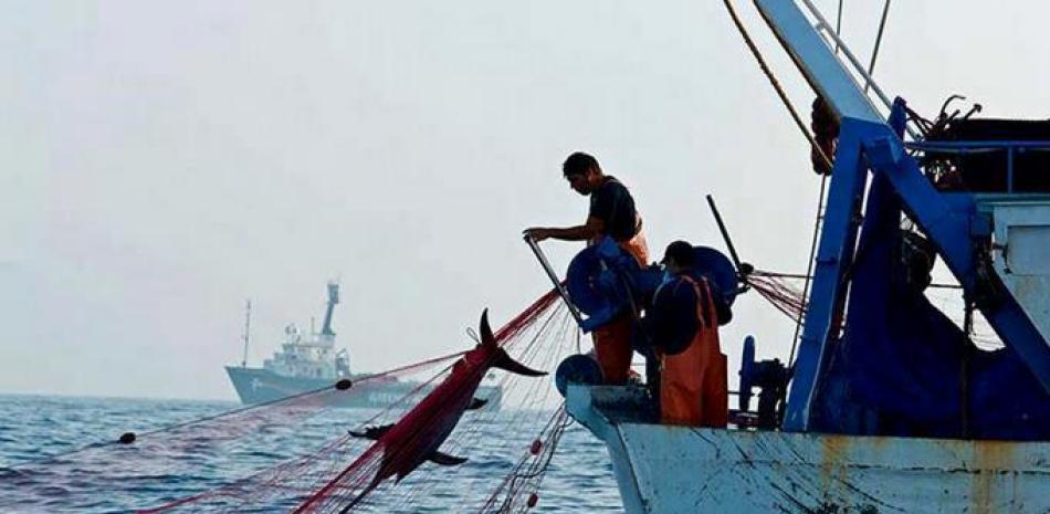 Los pescadores partieron de Puerto Plata donde operaban.