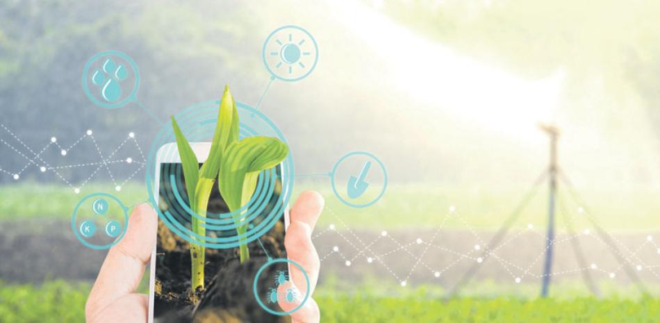 El Coniaf elaboró en el 2018 el documento “Transferencia de Tecnología y Asistencia Técnica para la Competitividad del Sector Agroalimentario”.