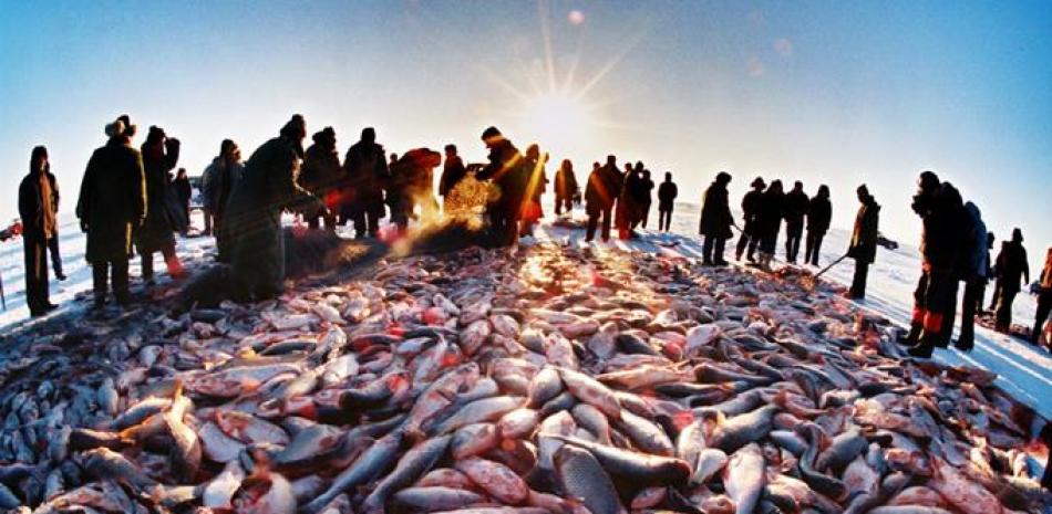Logro. En una ocasión la pesca obtenida con una sola red superó las 600 toneladas, estableciendo un récord mundial Guinness.