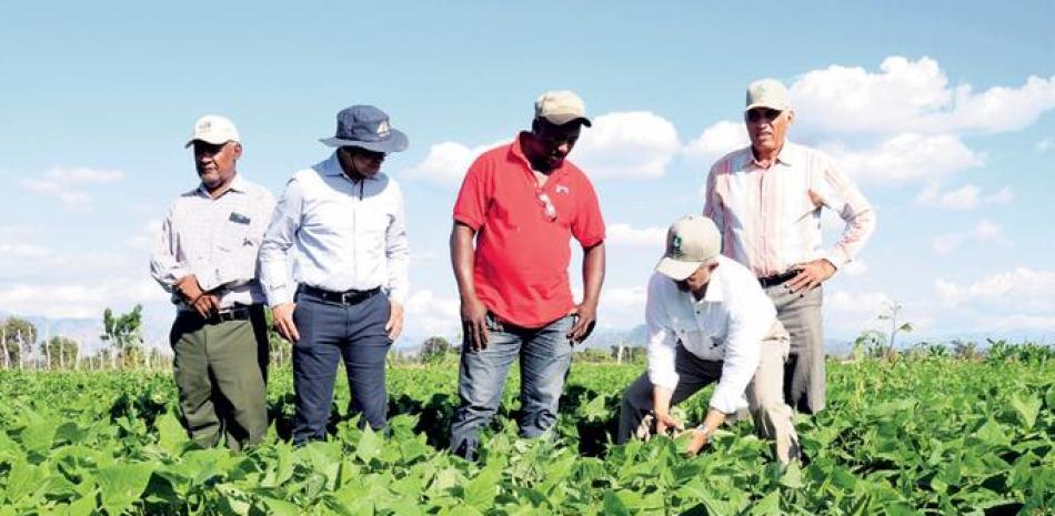 Recorrido. El ministro de Agricultura, Osmar Benítez, en una de las plantaciones durante su visita a San Juan.