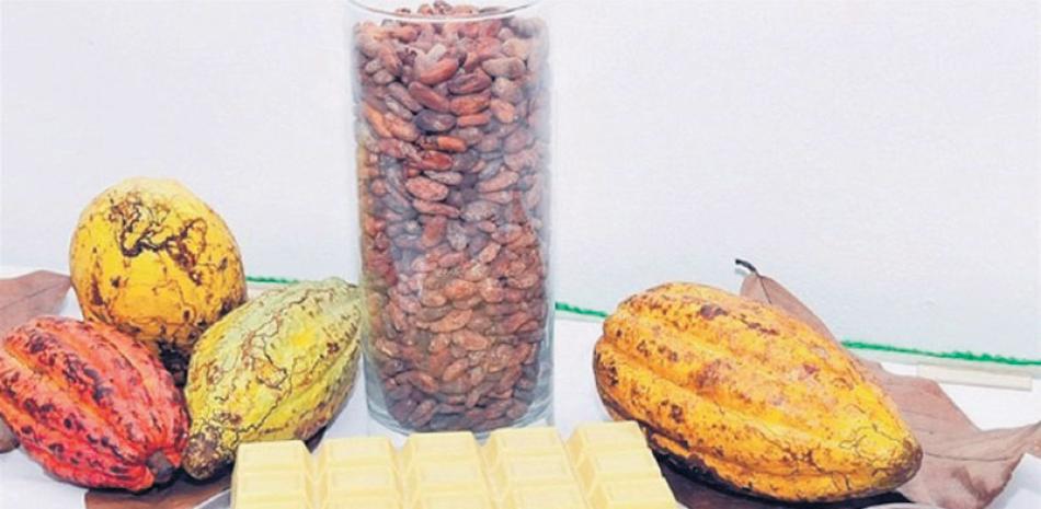 Dato. República Dominicana es líder mundial en exportación de cacao orgánico, fino y de aroma. En el 2017, el país exportó cacao por 86 millones de euros a la UE, de los cuales 28 millones o 32% ingresaron a Bélgica.
