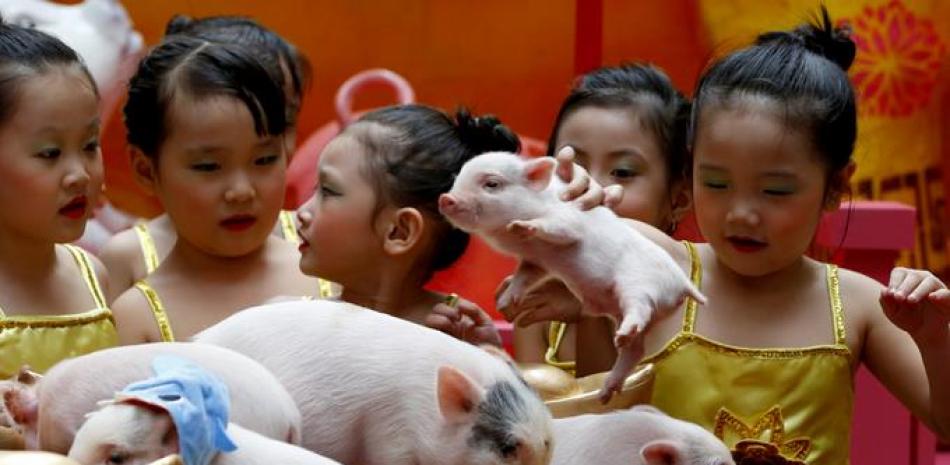 1) un grupo de niños juega con minicerdos en el Chinatown de Manila, Filipinas;