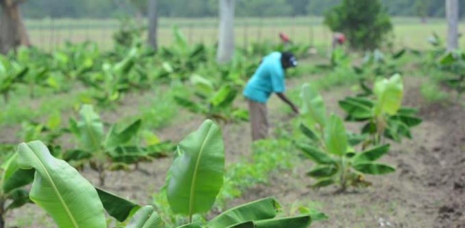 Producción agrícola.