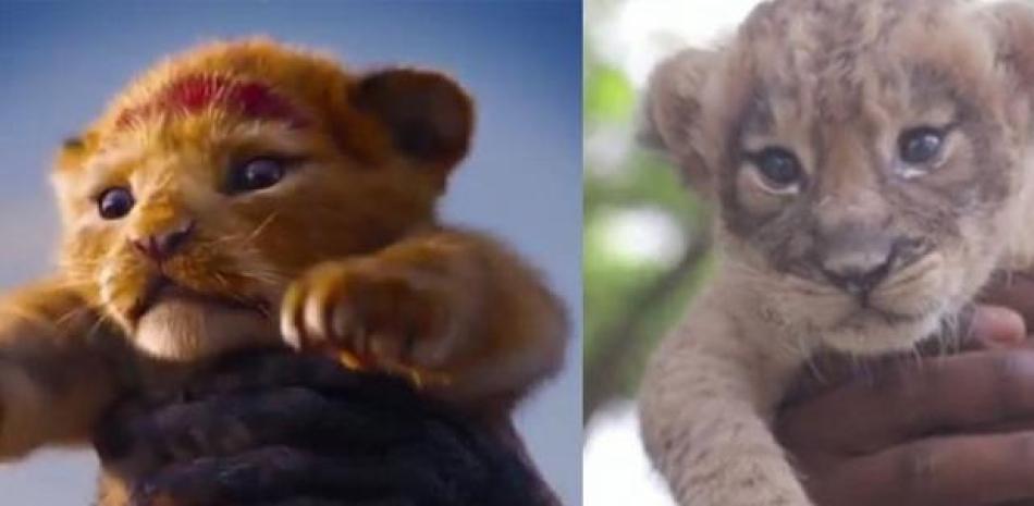 Dos fotografías, la primera del personaje del filme y la segunda del animal nacido en el zoológico.