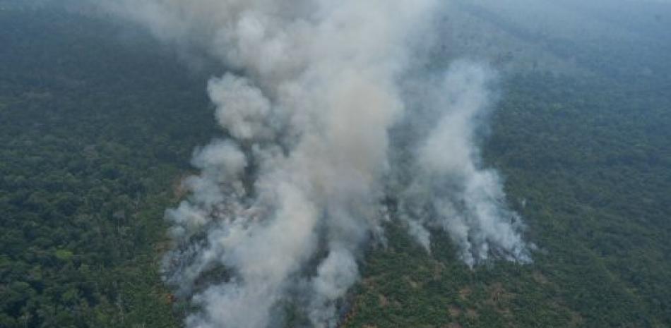 Incendio en la selva del Amazonas. / EFE