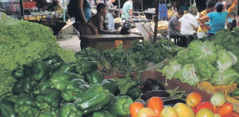 Según Julio Berdegué, la pobreza rural en República Dominicana se ha reducido en un 43% y el hambre ha disminuido en un 61% en los últimos doce años. ARCHIVO