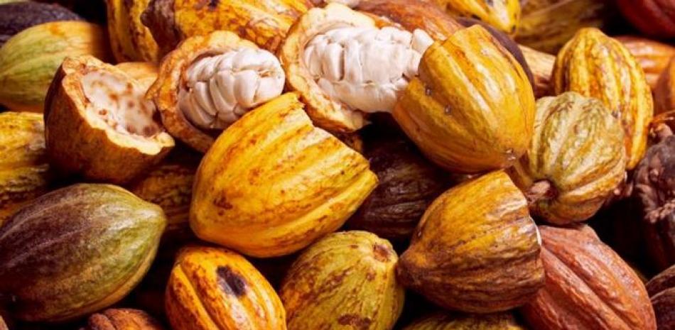 El cacao es uno de los rubros con potencial de exportación.