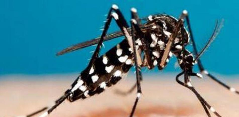 Sigue alta incidencia del dengue./LD