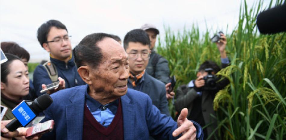 Yuan Longping, padre del arroz híbrido. Foto: Xinhua.