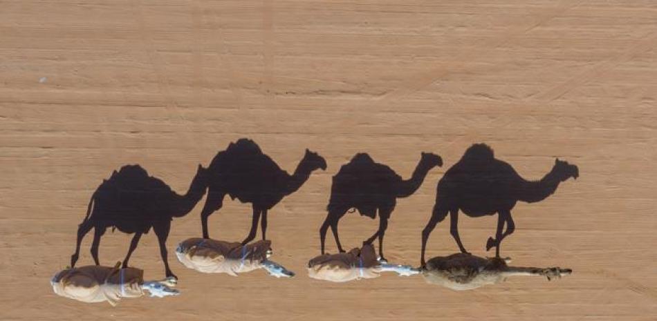 Camellos, foto de archivo. / AFP