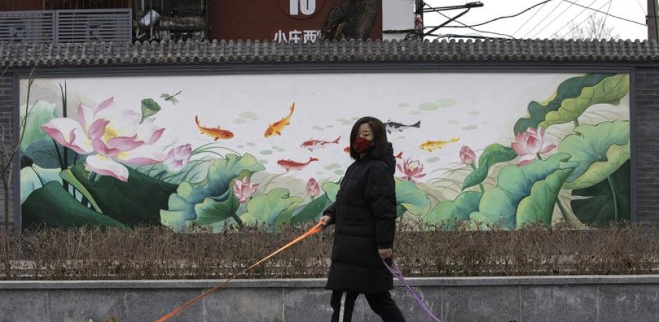 En esta imagen de archivo, tomada el 25 de febrero de 2020, una residente, protegida con una mascarilla, pasea a sus perros en Beijing. (AP Foto/Ng Han Guan, archivo)