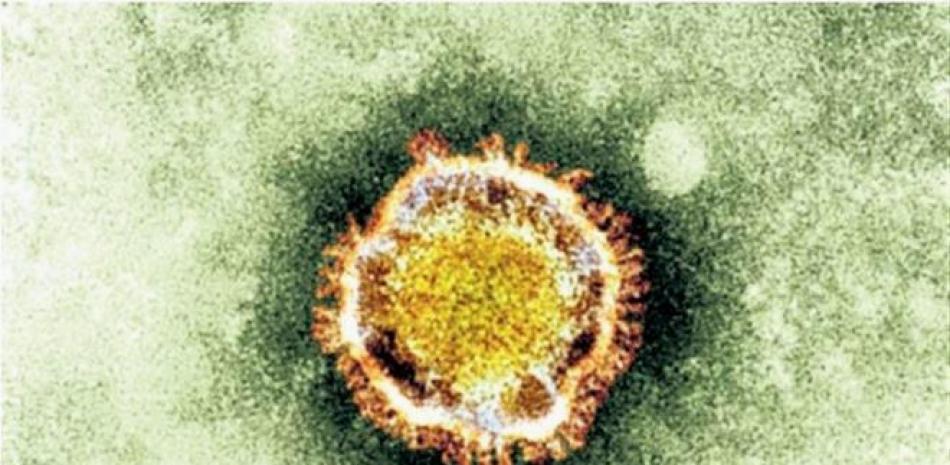 Coronavirus, foto de archivo. / Listín