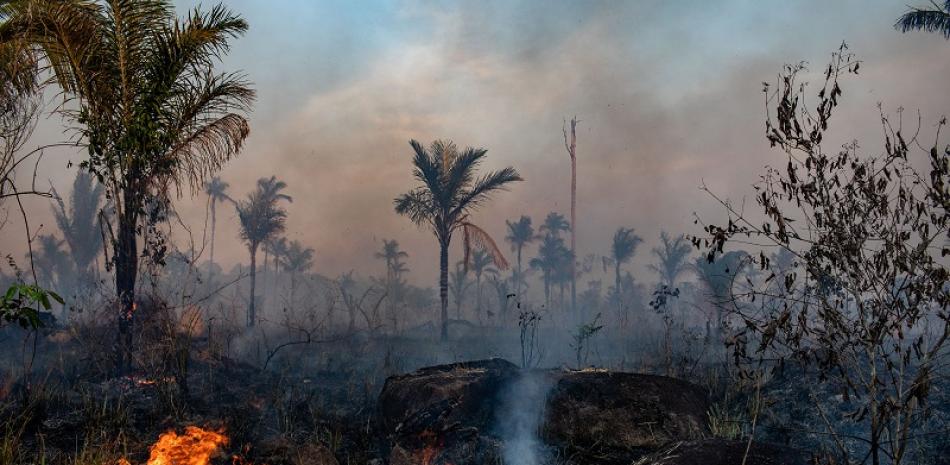 Un área forestal quemada cerca de una hacienda ganadera en el estado de Mato Grosso, Brasil, el 31 de agosto de 2019. (Victor Moriyama/The New York Times)