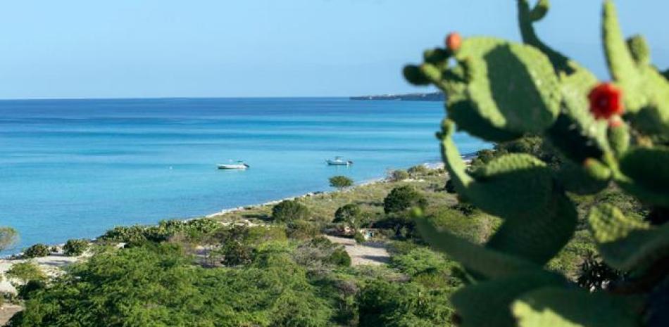 La playa de Bahía las Águilas tiene una amplia extensión de arena blanca y es considerada una de las más bellas del mundo. La recuperación de terrenos de su entorno permitirá el desasrrollo de un turismo sostenible. ARCHIVO