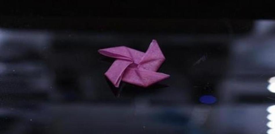 Una hoja de queratina doblada en una compleja estrella de origami como su forma permanente. LUCA CERA/HARVARD SEAS