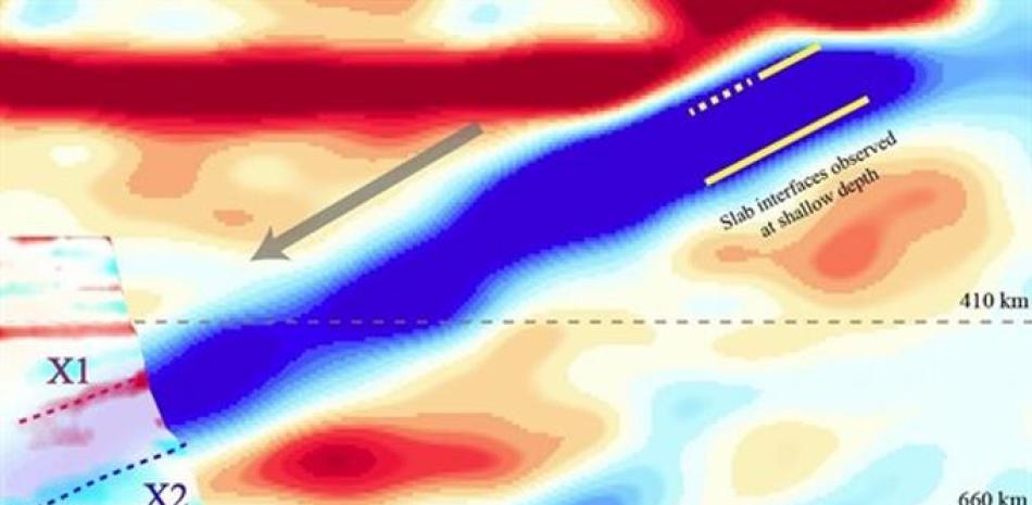 Las imágenes sísmicas en el noreste de China revelaron los límites superior (X1) e inferior (X2) de una placa tectónica (azul) que anteriormente se encontraba en el fondo del Océano Pacífico y está siendo arrastrada hacia la zona de transición del manto.

Foto: F. NIU/RICE UNIVERSITY