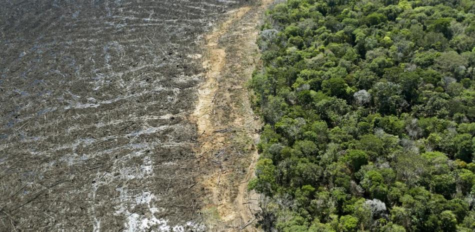 La deforestación en la Amazonía brasileña volvió a aumentar durante el año pasado, alcanzando un máximo de 12 años, según cifras oficiales publicadas el 30 de noviembre de 2020 que provocaron un coro de condenas al gobierno del presidente Jair Bolsonaro. Florian Plaucheur / AFP