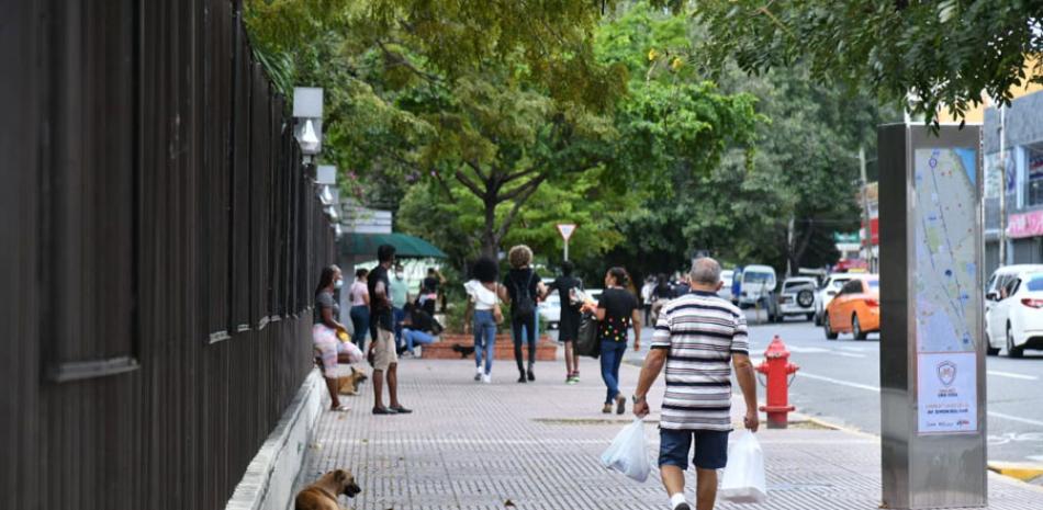 En lugares públicos y zonas urbanas la presencia de perros es muy frecuente, lo que supone que son animales sin dueños. LISTÍN DIARIO