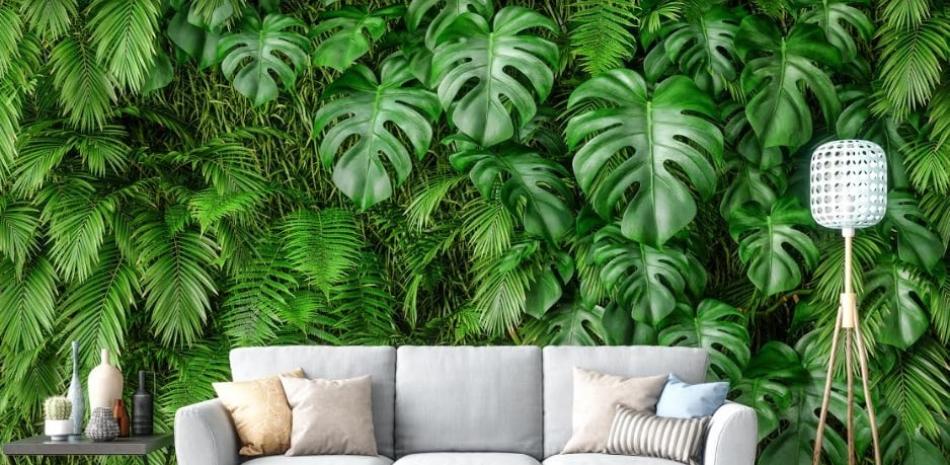 Una selva en casa. Un jardín vertical con palmas, bambúes y Monstera deliciosa (costilla de Adán).