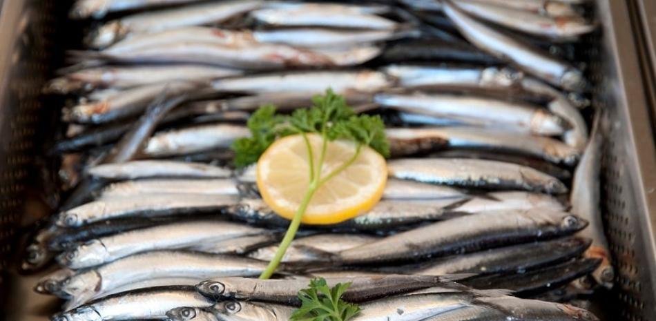 1.-Las sardinas son un alimento de alto valor nutricional (foto IMEO)