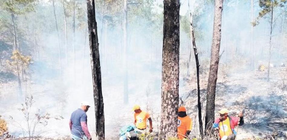 “La mayoría de incendios, nosotros determinamos las causas y los causantes”, dijo Gerónimo Abreu, del Ministerio de Medio Ambiente. LISTÍN DIARIO