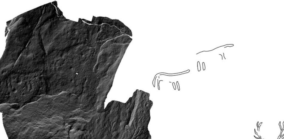 Una serie de grabados de ciervos realizados hace entre 4.000 y 5.000 años ha sido descubierta en el túmulo funerario Dunchraigaig Cairn, en el oeste de Escocia, lo que supone la primera vez que se encuentran grabados prehistóricos de animales en esa región, informó este lunes la agencia de Entorno histórico de Escocia (HES, en inglés). EFE/Hamish Fenton