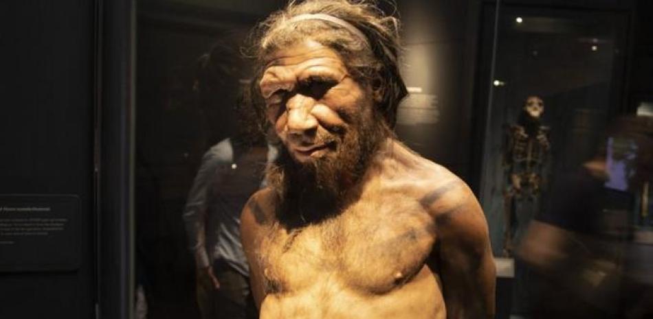 Los neandertales tenían costumbres muy parecidas al ser humano moderno, según recientes descubrimientos. Getty Image