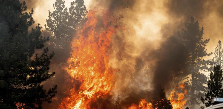 David Garfield limpia una zona alrededor de su casa mientras un incendio forestal arde en Doyle, California, el sábado 10 de julio de 2021.

Foto: AP/Noah Berger