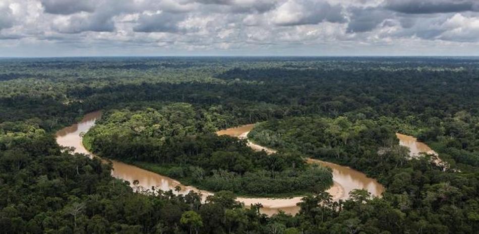 La selva amazónica a menudo se llama “los pulmones del mundo”. - USDA Forest Service/ Diego Pérez