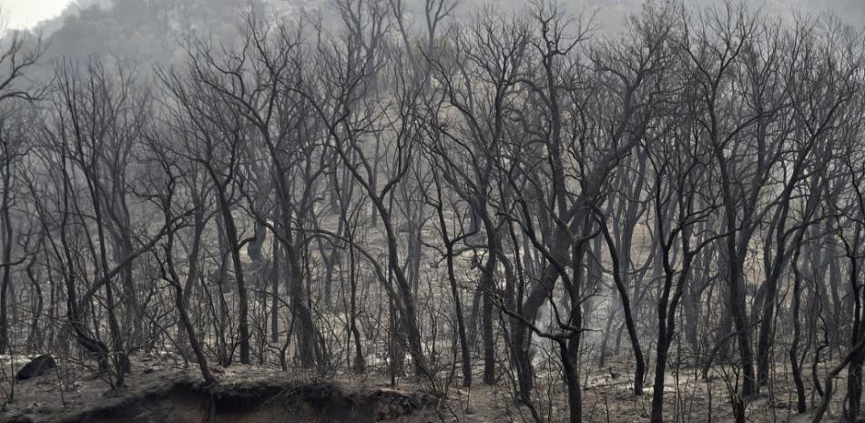 Los árboles carbonizados se ven después de un incendio forestal en las colinas boscosas de la región de Kabylie, al este de la capital, Argel, el 10 de agosto de 2021. 

Foto: Ryad KRAMDI / AFP