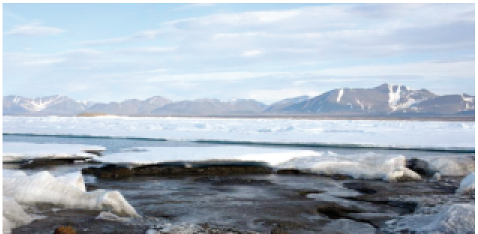 Foto de la isla que científicos consideran la más norteña del mundo, frente a las costas de Groenlandia. AP