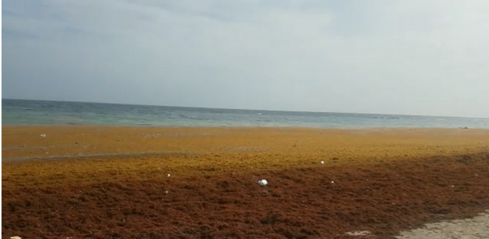 Playa de Guayacanes, en San Pedro de Macorís. Foto: Listín Diario.