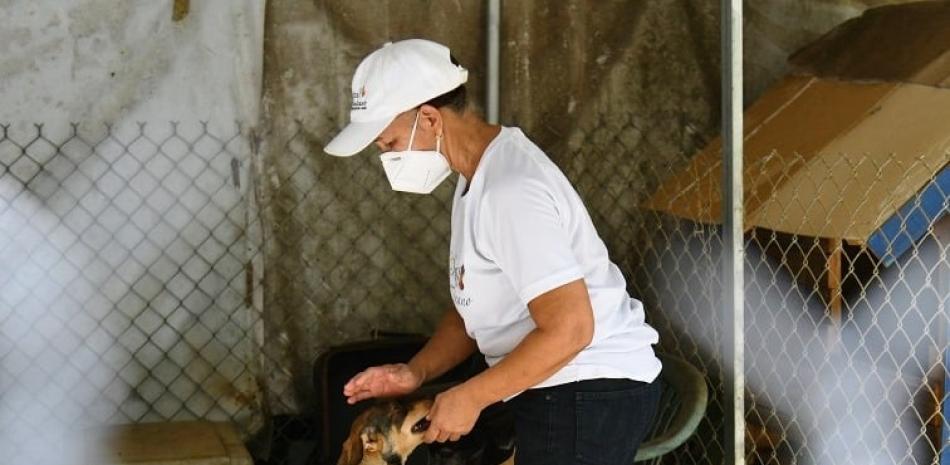 Algunas personas les entregan animales enfermos y una vez recuperados los pasan a recoger. © Raúl Asencio/LD