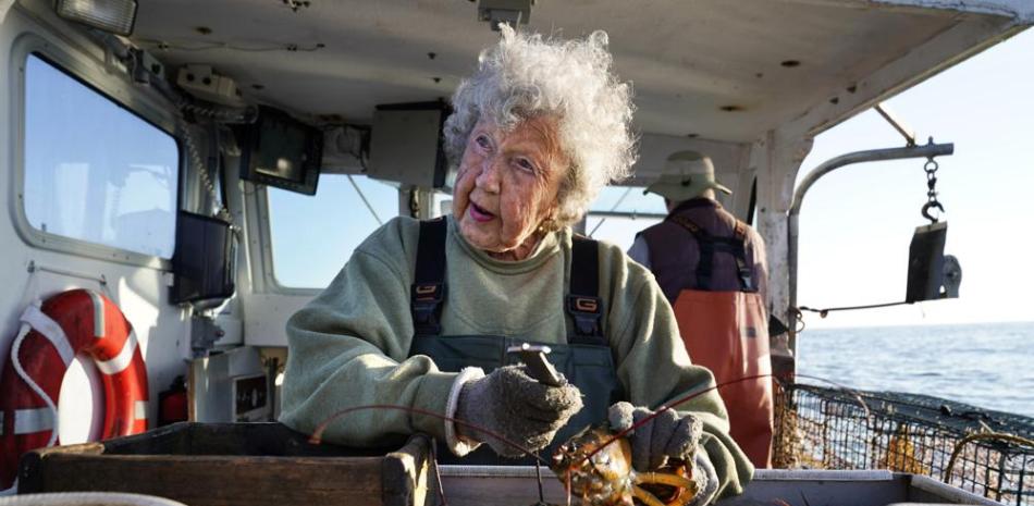 Virginia Oliver, de 101 años, trabaja como sternman, midiendo y anillando langostas en el barco de su hijo Max Oliver, el martes 31 de agosto de 2021, frente a Rockland, Maine. El recolector de langosta más antiguo del estado lo ha estado haciendo desde antes del inicio de la Gran Depresión. (Foto AP / Robert F. Bukaty)