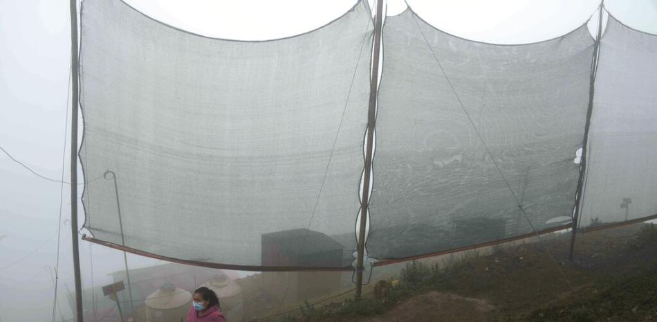 Justina Flores pasa junto a redes de polietileno para atrapar la niebla que proporcionan agua a los habitantes de la barriada de Pamplona Alta en Lima, Perú, el jueves 16 de septiembre de 2021.

Foto: AP Foto/Martín Mejía