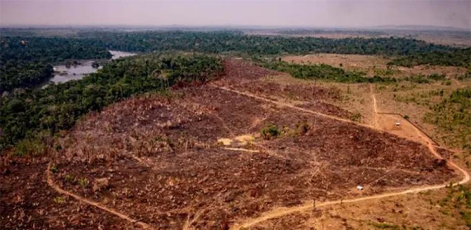 Deforestación en la selva del Amazonas
