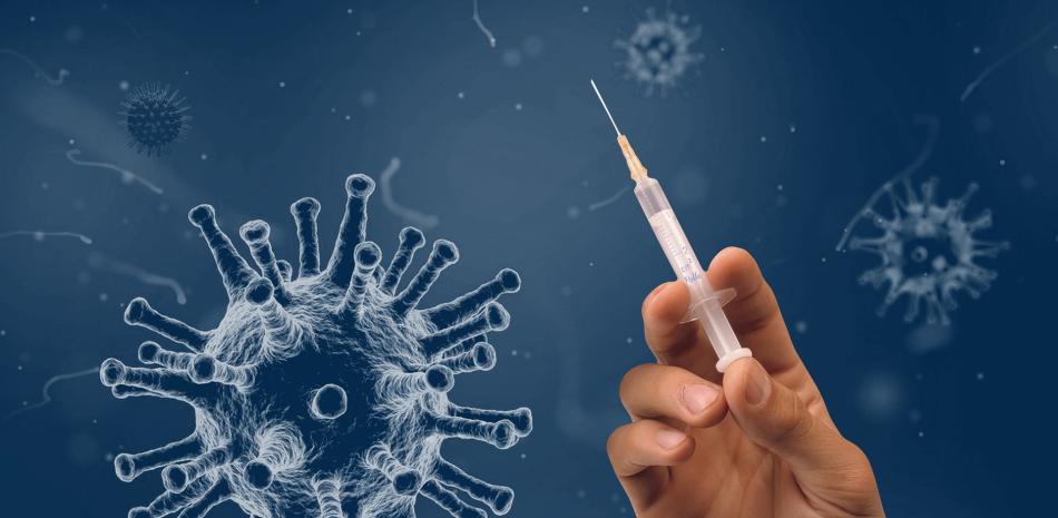 Foto: Fuente Externa.