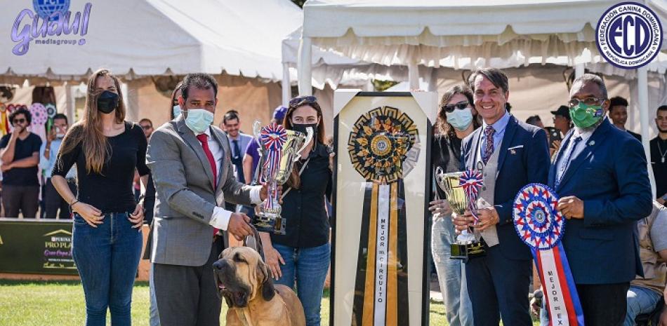 Gran Campeón Exposición Canina Internacional y Ganador Copa Pro Plan