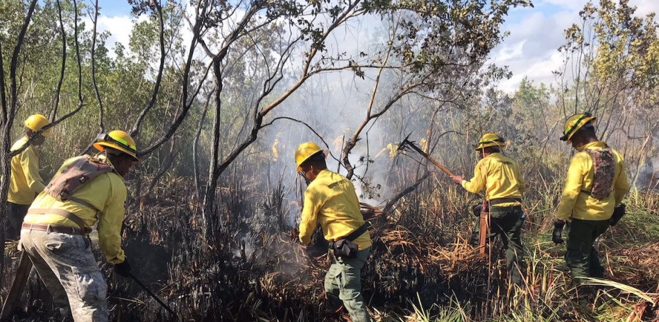 Brigadas forestales han tenido un trabajo intenso en los operativos para sofocar los incendios.