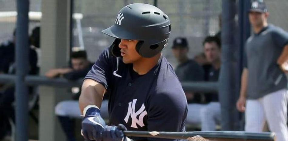 Jasson Domínguez es uno de los prospectos dominicanos con mayor potencial de convertirse en la próxima estrella de las Grandes Ligas.