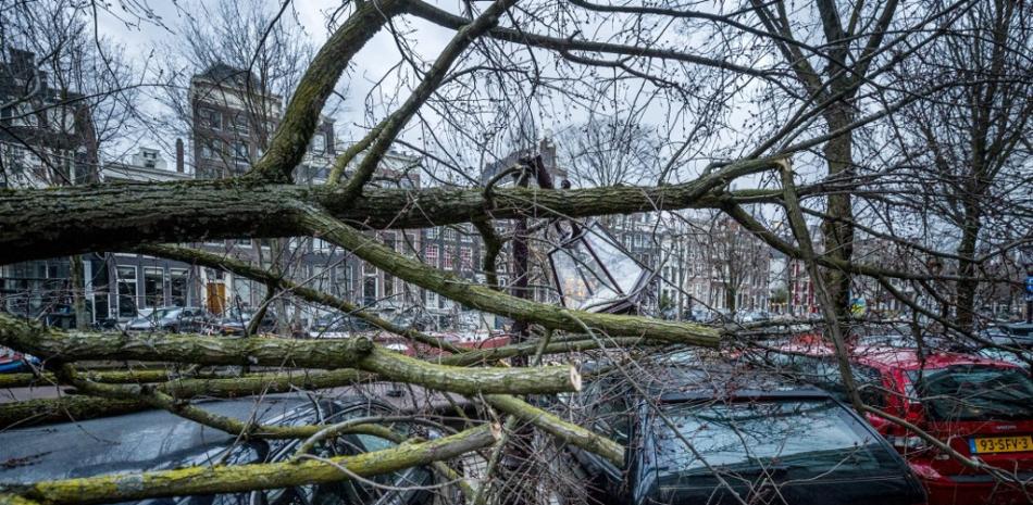 Un árbol yace sobre varios automóviles en Keizersgracht, en el centro de Ámsterdam, el 19 de febrero de 2022, cuando la tormenta Eunice azotó el norte de Europa y mató al menos a 13 personas. Dos personas, una en un automóvil, murieron, según los servicios de emergencia holandeses, por la caída de árboles cuando Eunice pasaba por Holanda, lo que disparó su nivel de alerta más alto. Remko de Waal / ANP / AFP