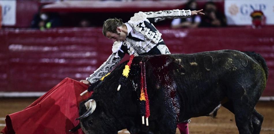 El matador mexicano Octavio García "El Payo" realiza un pase a un toro durante una corrida en la Plaza México durante su 76 aniversario, en Ciudad de México, el 5 de febrero de 2022. Foto: Pedro Pardo/AFP.