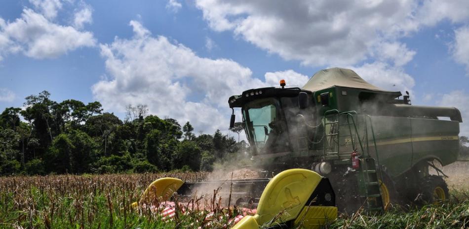 En esta foto de archivo tomada el 5 de septiembre de 2019, una cosechadora trabaja en un campo de maíz en la finca del ganadero brasileño Luiz Medeiros dos Santos en Ruropolis, estado de Pará, Brasil, en la selva amazónica. 
NELSON ALMEIDA / AFP