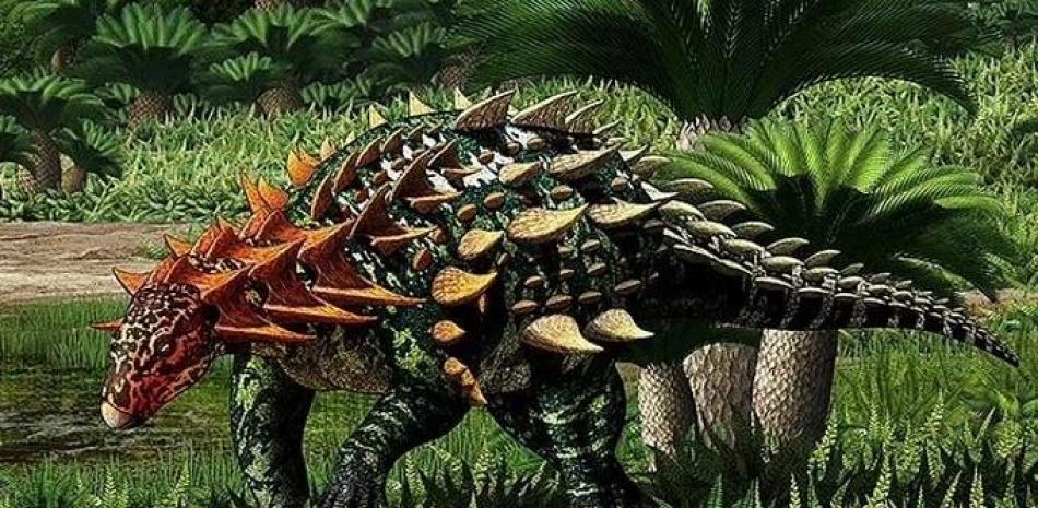 Este es el dinosaurio acorazado más antiguo encontrado en toda Asia, y está ayudando a comprender cuándo y dónde aparecieron estos animales por primera vez. - YU CHEN