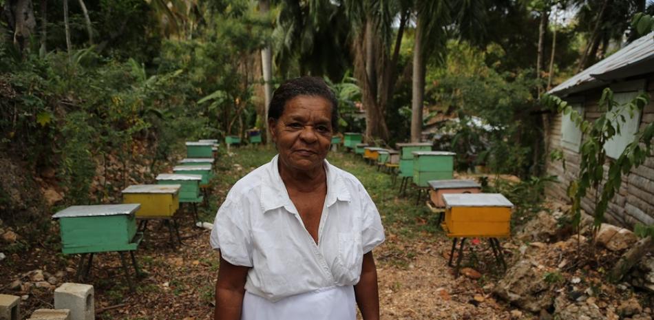 Emprendedora. Doña Leonidas Díaz Sánchez, apicultora del municipio costero de Paraíso, en Barahona. © CAD