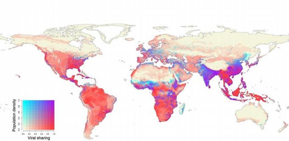 En 2070, los centros de población humana en África ecuatorial, el sur de China, India y el sudeste asiático se superpondrán con los puntos críticos proyectados de transmisión viral entre especies en la vida silvestre.

Foto: COLIN CARLSON/GUMC
