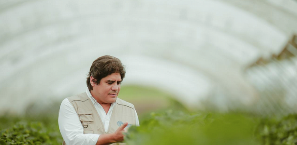 Rodrigo Castañeda, representante de la FAO en el país, en un invernadero. EXTERNA